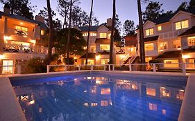 Miradores del Bosque Apart&Spa